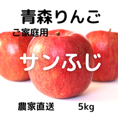 青森県産りんご　サンふじ　5kg