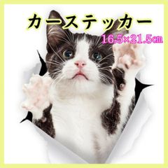 「３D 黒白猫ちゃん」カーステッカー　飛び出る姿が可愛い　防水耐水　バイク
