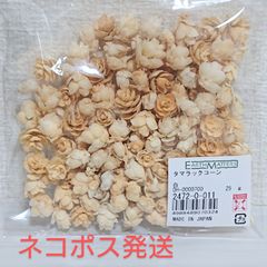 大地農園 タマラックコーン 白 新品1袋