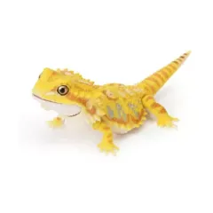 【中古】トレーディングフィギュア フトアゴヒゲトカゲ(スーパーイエロー) 「いきもの大図鑑レプティ アルマジロトカゲとフトアゴヒゲトカゲ」のサムネイル