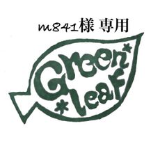 専用!! エケベリア♡バロンボルト 2号ポット