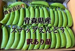 【訳あり商品】青森県産スナップえんどうのサムネイル