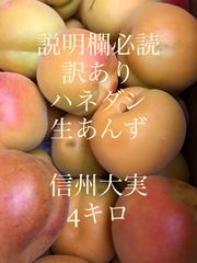 生あんず  [事前予約]「訳あり」小傷やアザ有り 4キロ 加工用 [6月下旬〜7月上旬発送予定] 信州 千曲市 産地直送 杏 ジャム シロップ漬け あんず酒  ドライアンズ 送料込み