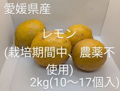 2kg(10〜17個入)農薬栽培期間中不使用レモン 愛媛県産