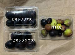 西洋いちじく　クール便