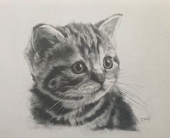 猫 鉛筆画 ハチワレ猫ちゃんの 色鉛筆画を描かせていただきました🐱♡ なぁ