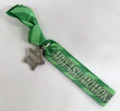 【中古】アクセサリー(非金属)(女性) 有安杏果(ももいろクローバーZ) チャーム付ゴムブレスレット(グリーン/ストライプ) 「ももいろクリスマス 2017 ～完全無欠のElectric Wonderland～」 ももクロガチャ景品