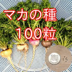 スーパーフード】山梨マカ葉パウダー 30g【国産無農薬】【希少