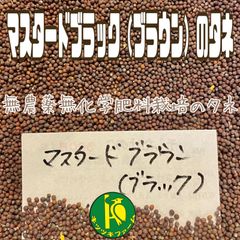 マスタードブラックの種　5ml   有機種子・無農薬無化学肥料栽培のタネ