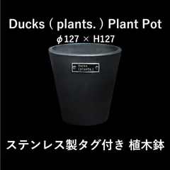 Ducks plants ステンレスタグ付き鉢 植木鉢 φ127×H120 鉢 鉢植え プラントポット