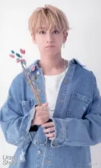 OWV 浦野秀太 CD アルバム トレカ 2025年最新】浦野秀太 トレカの人気