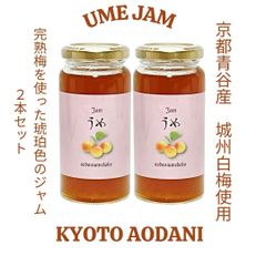 露茜 大きさ不揃い 2kg 和歌山県産 梅酒 シロップ ジャム - メルカリ