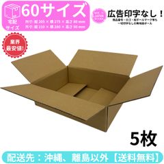 段ボール ダンボール 箱 60サイズ 5枚セット 新品 国産 梱包材 梱包資材