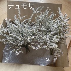 短めデュモサ ドライフラワー レジン キャンドル 花材