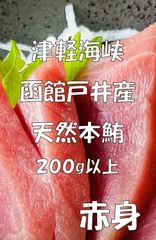 天然本マグロ　刺身用　赤身　200ｇ以上【津軽海峡　函館戸井産　本鮪】刺身用冷凍品　【送料込）