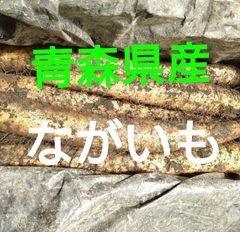 送料無料　ながいも　長芋　5きろ　青森県産　宅急便のサムネイル