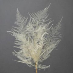 Item thumbnail for item 738d4219-270b-426c-a823-34e413dad5f4