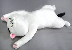 【中古】ぬいぐるみ 猫さま へそ天BIGぬいぐるみ 「犬と猫どっちも飼ってると毎日たのしい」
