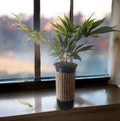 光触媒　フェイクグリーン　マリファナ　人工観葉植物　大麻　造花　草　CBD