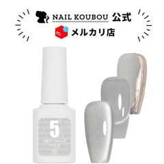 【送料無料】『人気』5ミクロン マグネットジェル 光る奥行き セルフネイル 透明感 ネイル工房【5ミクロンガラス 1】