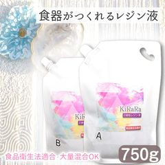 キララ　2液性レジン 750g【食器の作れるレジン液】キララ 2液性レジン液 食品衛生法適合