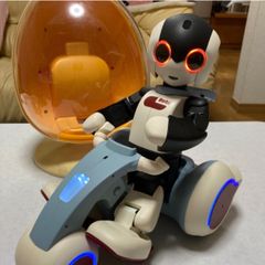 美品◇ACME アクメ◇フルート ハードケース付き - メルカリ