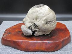天然石 人面形 水石 原石 置物 鑑賞石 自然石 誕生石 水石鉱物WWFT073