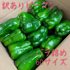 訳ありピーマン　バラ詰め　1.3キロ　60サイズいっぱい