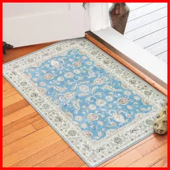 【特売】HAOCOO 玄関マット ペルシャ絨毯風 室内 50х80cm 小さい ラグ おしゃれ 洗える 長方形 耐磨耗性 すべり止め 低反発 防音 ラグマット 屋外 泥落とし シェニール オールシーズン適用 抗菌防臭 軽量 ライトブルー