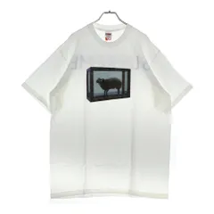 2009AW supreme ステッカー″ダミアン・ハースト” ２枚セット Supreme Damien Hirst Box Logo Sticker 2009 | eBay