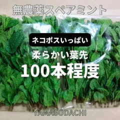 スペアミント葉　約100本のサムネイル