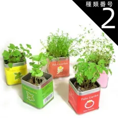 種類2:-/ヒマワリ 栽培 栽培セット 栽培キット 野菜 ハーブ 送料無料 室内 子供 野菜 おうちで栽培 おうちでガーデニング 家庭菜園 自由研究 観察 初心者向け 室内 おうち時間 巣ごもり インテリア おしゃれ