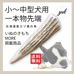 【鹿角好きオススメ】小〜中型犬用　一本物　先端　エゾ鹿の角　犬のおもちゃ　鹿の骨　C