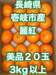 北海道沖縄追加料金無し　長崎県壱岐市産高級みかん《麗紅（はまさき）》美品20個3kg以上