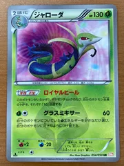 ポケモンカード　ジャローダ ur bw psa10 ポケモンカード ジャローダ ur bw psa10