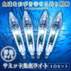 Item thumbnail for item 267e8d6a-43cc-4fc9-8f8b-4c838aec6e2f