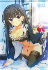 【中古】タペストリー 常坂二乃 描き下ろしB2タペストリー 「PS4/Switchソフト D.C.4 Fortunate Departures ～ダ・カーポ4～ フォーチュネイトデパーチャーズ 完全生産限定版」 ソフマップ購入特典