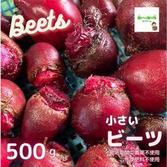 ☆農薬や化学肥料は使用しておりません　小さいビーツ　埼玉県産　約５００g（※サイズは約３ｃｍ〜７ｃｍの小さいものになります）