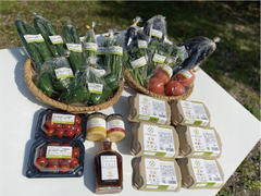 よくばりセット(4〜5人向け） 沖縄県産野菜(5～7種類）と平飼い卵(6個入6p)、マヨネーズ2種、ジンジャーシロップ