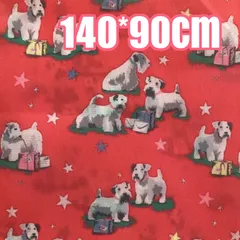 キャスキッドソン ナイロン 生地 ハンドメイド レッド色 エコバッグ 素材