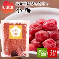 【お得】小梅 400g×2袋 お弁当用の梅干し 無添加 無着色 すっぱい梅干し しそ梅干し 九州産