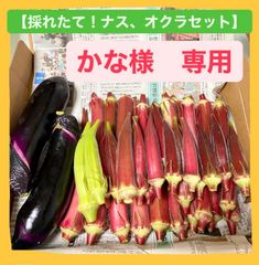 かな様　専用　ページ
