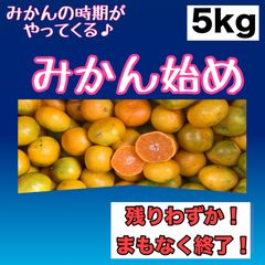 みかん始め　5kg