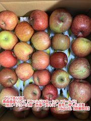 【わけあり品】青森県産りんご「サンふじCA品・シナノゴールド」加工・ジュース用　色薄・大キズ・変形・押しキズ有 10kg以上【数量限定】