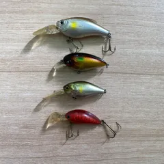 2025年最新】バスディ とのの人気アイテム - メルカリ