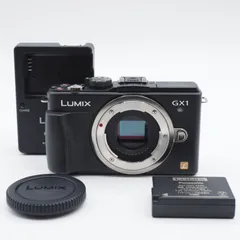 2024年最新】Panasonic DMC-GX1の人気アイテム - メルカリ