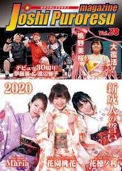 女子プロレスマガジン vol.28