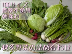 【10/29(水)収穫発送/ご新規様用】秋冬野菜の詰め合わせ／100サイズ／ さつまいも、白菜、キャベツ、 大根／野菜詰め合わせ／栽培期間中農薬不使用