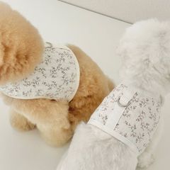 EYOU　果実ハーネスセット