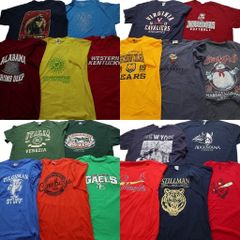 古着卸 まとめ売り カラーmix プリント 半袖Tシャツ 20枚セット (メンズ XL ) 英文字プリント チームロゴ ワンポイント 中古 古着 NA7009